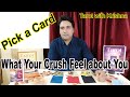 Pick a card  what your crush feels about you  astroguru