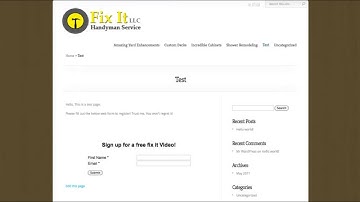 How do I get a web form to display on my WordPress website