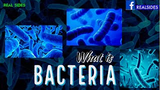 Bacteria | What is Bacteria | Real sides | RS