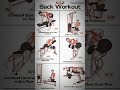 Best Exercises for wings #workout #gym #fitness #bodybuilding #shorts