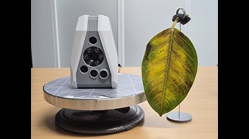 “얇은 두께도 완벽하게! Artec Spider II로 나뭇잎 3D 스캔”