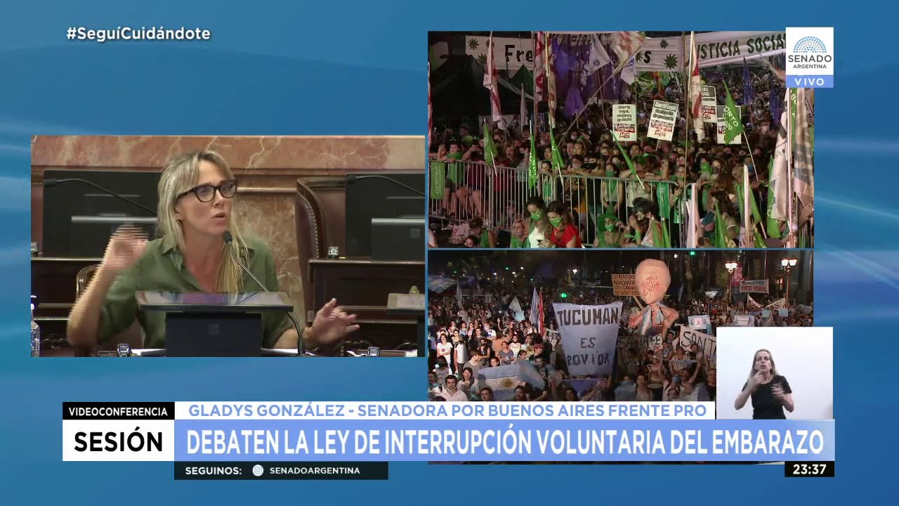 SDORA. GLADYS GONZÁLEZ - SESIÓN ESPECIAL IVE 29-12-20