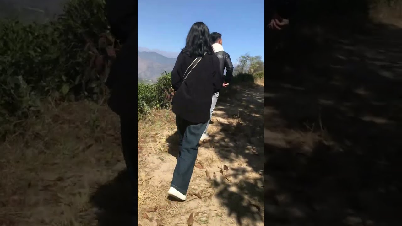 Mini ilam  views greenery and mountains range view