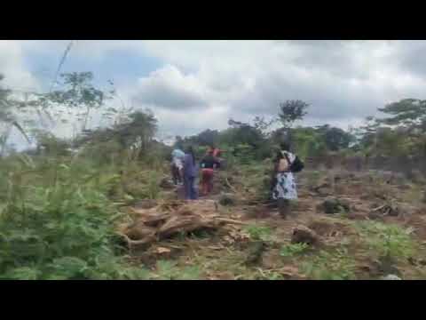 4 plots (400m² each)  at Wonjoku layout, Buea located beh...