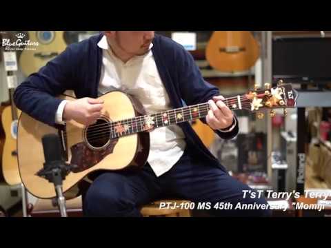 Blue Guitars - T'sT Terry's Terry / PTJ-100 MS 45th
