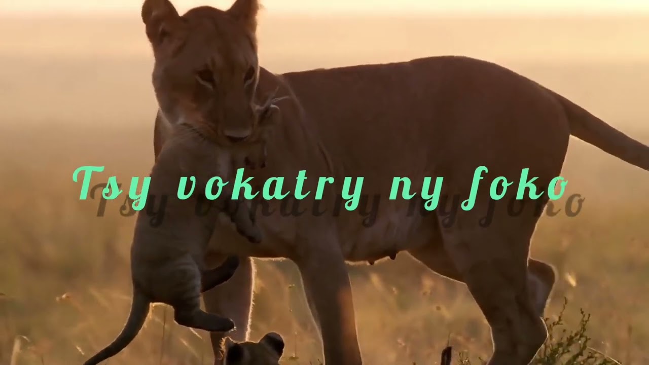 Dom Rasolo Avalony (lyrics)