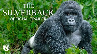 TRAILER — The Silverback by Natural Habitat Adventures 12,571 views 10 months ago 1 minute, 46 seconds