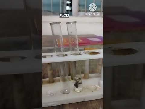 FeCl3 test for phenol #chemistry #lab #chemicals
