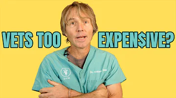 What is the difference between a veterinary hospital and a veterinary clinic?