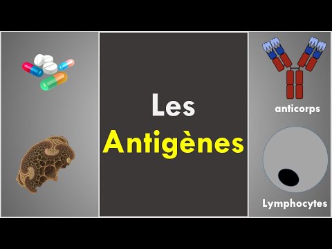 Vidéo: Différence Entre L'antigène Et L'immunogène