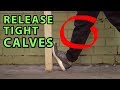 Fix Tight Calves | Knee Pain & Lower Back Pain