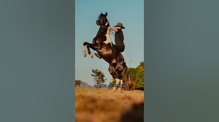 Pra sempre meu embaixador, que saudade😭🐎