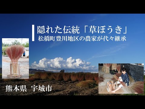 隠れた伝統 草ぼうき 宇城市松橋町豊川地区の農家が継承 手作りほうき Youtube