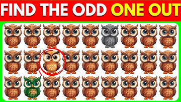 Find the Odd One Out! | Spot the Difference & Hidden Object Challenges
