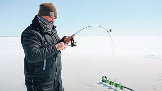 The Best Perch Ice Fishing I've Ever Seen.