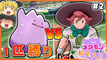 タガヤスのポケモン しばりプレイ