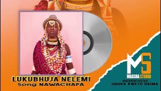 LUKUBHUJA  NELEMI   NAWACHAPA   0625208414 2