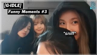 G-IDLE being a mess on vlive #2