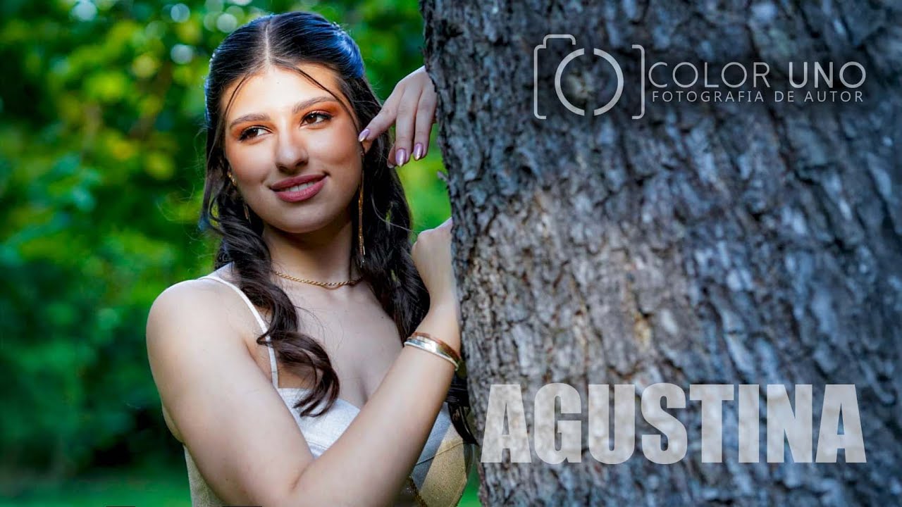 COLOR UNO - RESUMEN AGUS