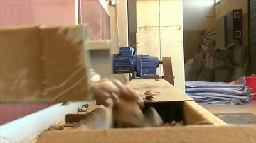 Nuttech - Almond shelling / cracking line, automatic processing line with all necesarry machines.