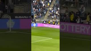 Raccoon Interrupts Mls Soccer Match Between Philadelphia Union And New York City Fc In Pennsylvania