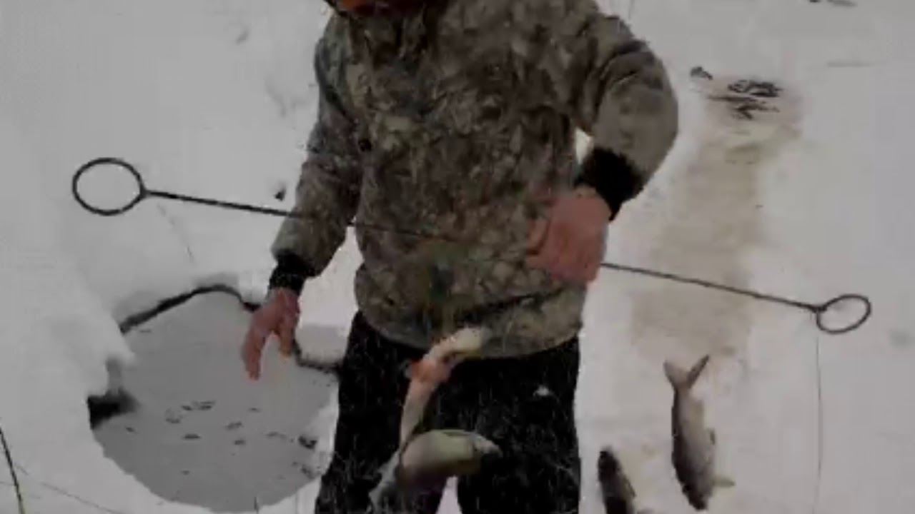 зимняя рыбалка с косынками видео