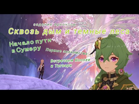 Проходим сюжет Сумеру