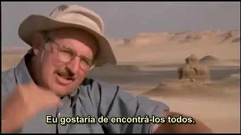 O que são cetáceos e símios?