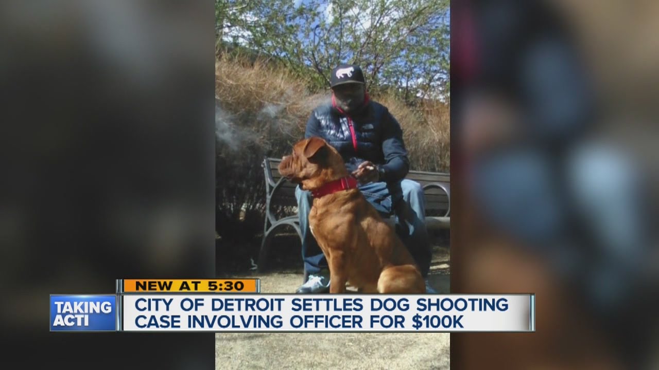City Settles Dog Shooting Case For 100 000 Youtube