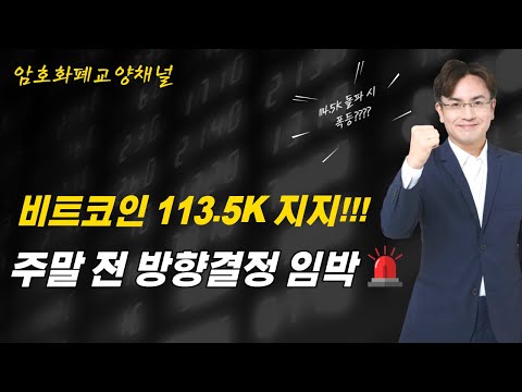 비트코인 113.5K 지지! 주말 전 방향결정 임박🚨