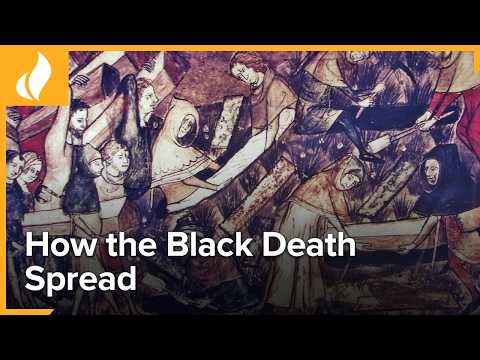 The Black Death's Ports of Entry | The World's Most Devastating Plague