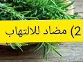 اكليل الجبل أو الازير صيدلية متنقلة وقيمة غذائية وصحية دخلو استافدو من فوائده وفوائد زيته وعسله
