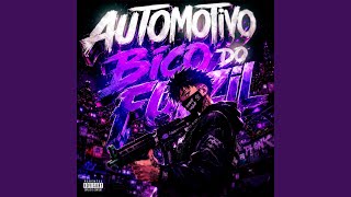 AUTOMOTIVO BICO DO FUZIL