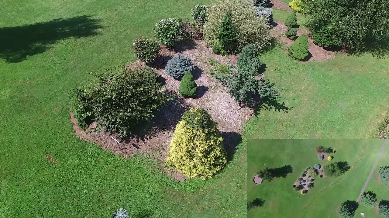 Williamson Town Park Disc Golf Course YouTube