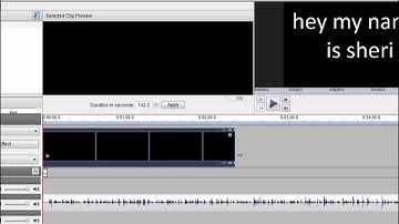 Tutorial on how to add Titles with VideoPad Video Editor