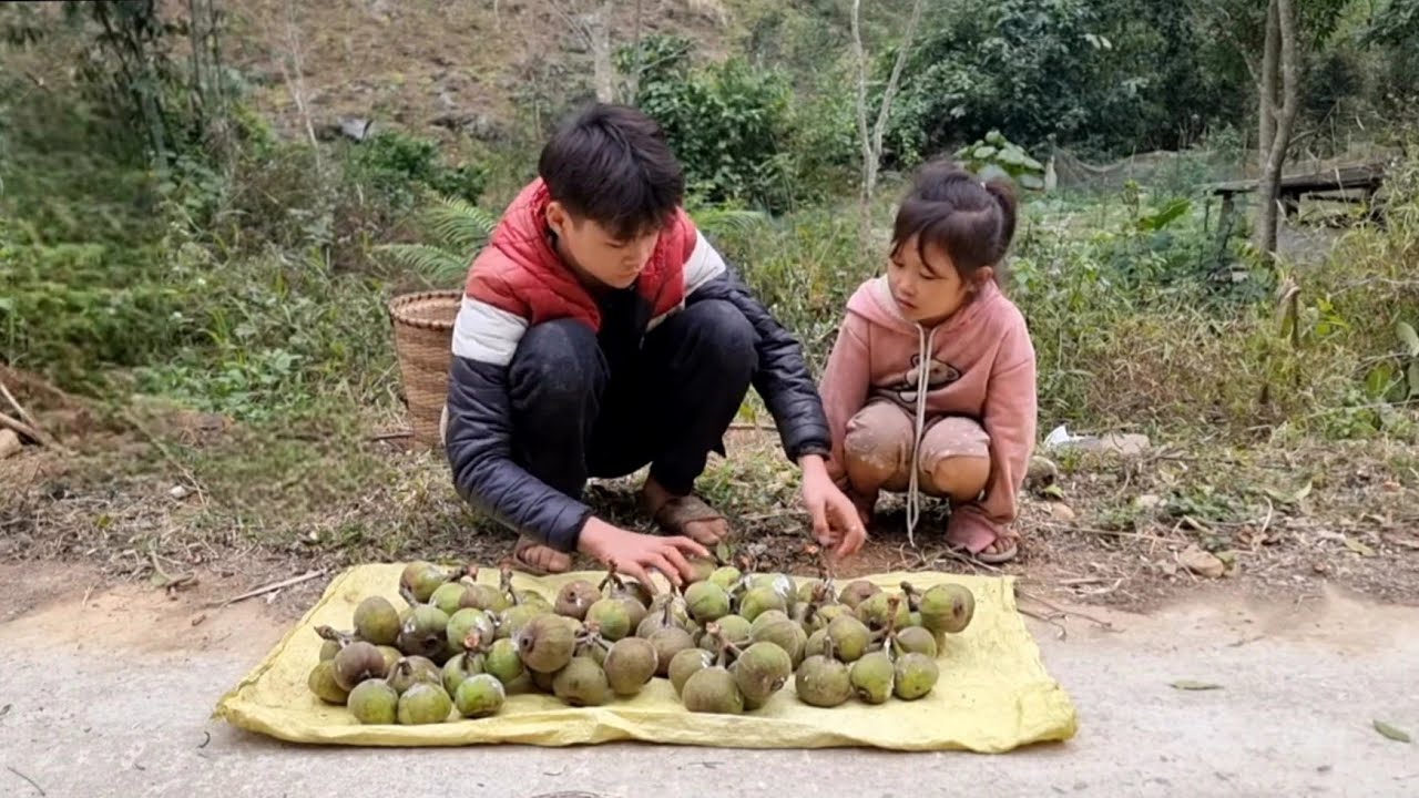 homeless girl and a poor boy go picking jellyfish to sell for money to buy things - Trieu Thi Trang