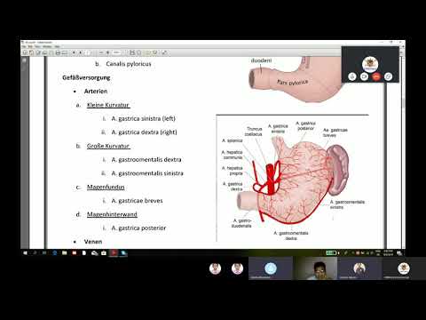 Gastroduodenal Ulcus