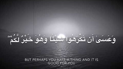 آيات لرآحة القلب والطمآنينه [ سورة البقرة ]