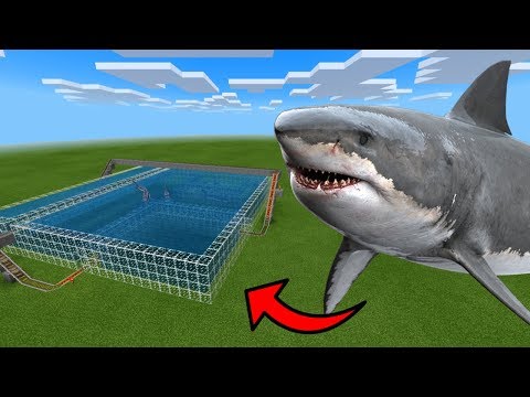 How To Make a Shark Roller Coaster in Minecraft PE🎢🦈