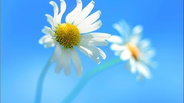 windows 8 crazy error in scratch