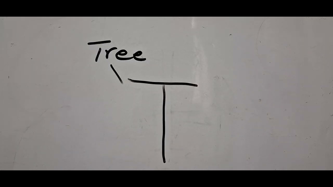 Formation n letter friends of letter T/letter T/phonics/kindergarten/kids Video 