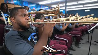 Talladega College - Pink Dolphin Sunset 🐬 - 2023 | Bandroom Exclusive |