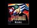 Pitbull Dammit Man Ft Piccallo Pitbull Dammit Man Ft Piccallo