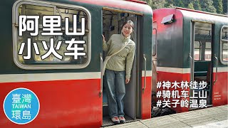 嘉义出发｜搭乘阿里山森林小火车｜神木林徒步之旅｜骑机车上阿里山一日游 | 关子岭泡汤大众风吕【台湾环岛day 6】