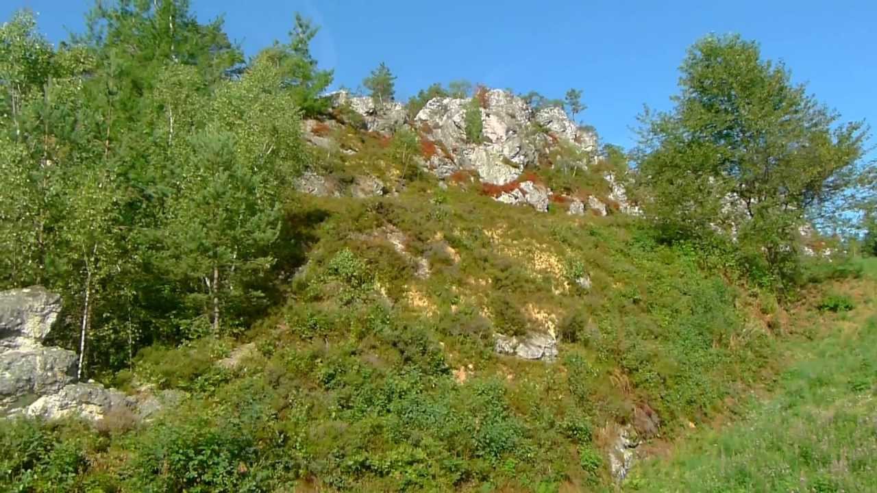 Wandern um den "Großen Pfahl" bei Viechtach (Bayerischer Wald)