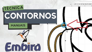 EMBIRD - Técnica Profissional para Criar Contornos Manuais
