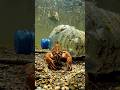 POV Inside the Deep Sea Life Factory #factory