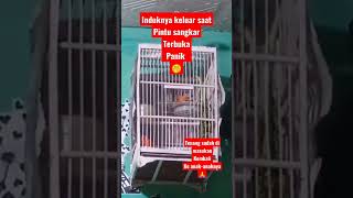 Kejadian Tak Terduga.