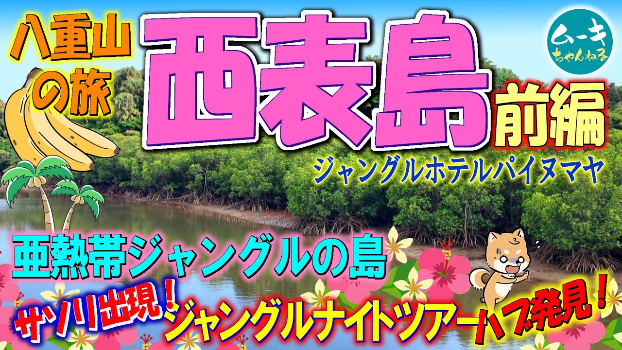 一緒に旅してる気持ちで八重山旅 1話目 西表島前編 2026.4