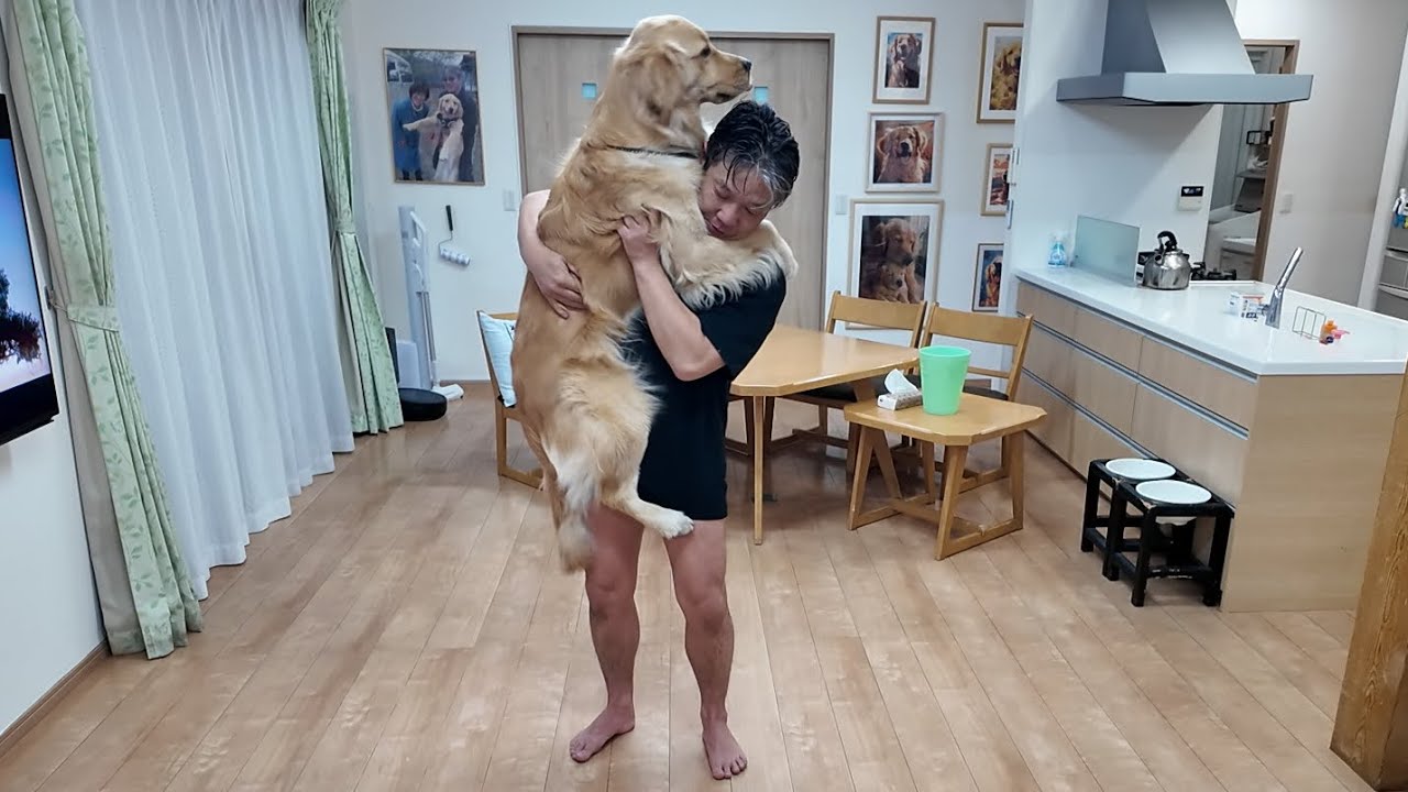 We would like to express our apologies and thoughts to our viewers